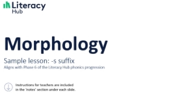 Morphology lesson slides: -s suffix for plural nouns  Image