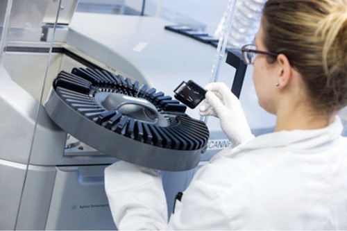 The Literacy Hub Image