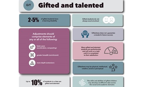Meeting the needs of gifted and talented students Image