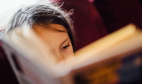 SOLAR: the science of language and reading Image