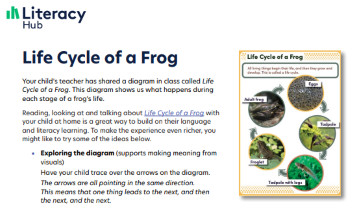 Phonemic awarenessLife Cycle of a Frog (for families) Image