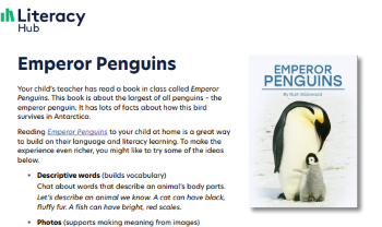 Emperor Penguins (for families) Image